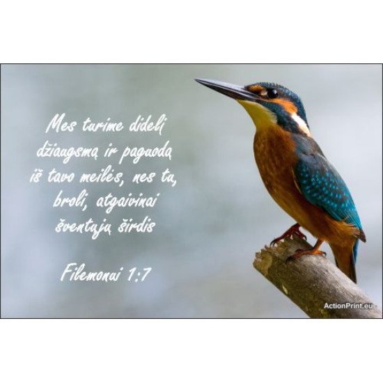 Magnetukas Biblijos eilutė - Filemonui 1:7