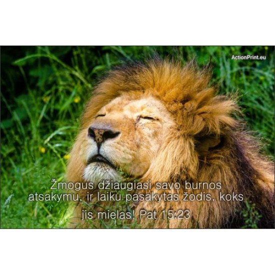 Magnetukas Biblijos eilutė - Patarlių 15:23