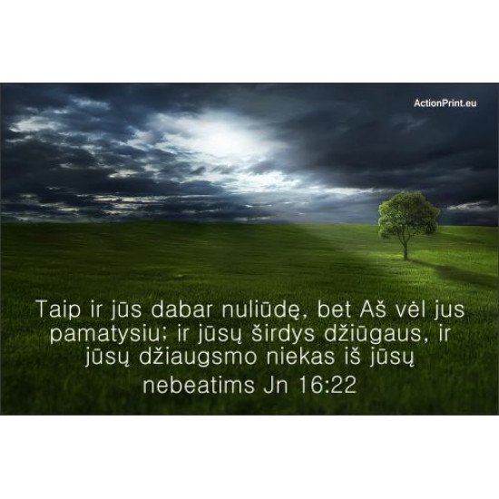 Magnetukas Biblijos eilutė - Jono 16:22