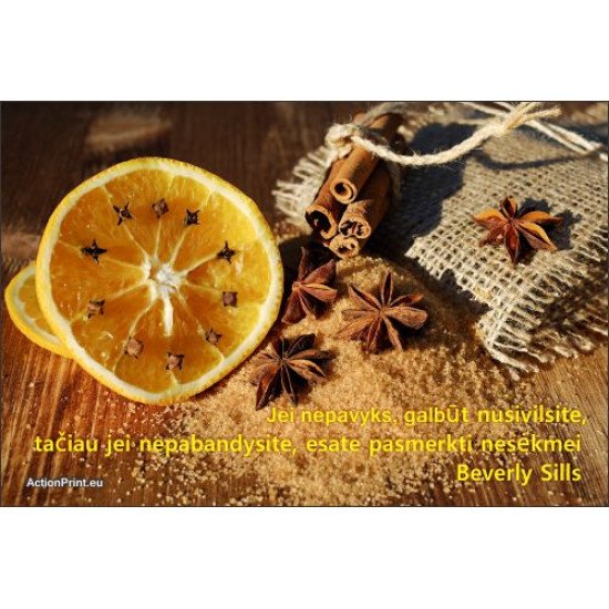 Magnetukas Beverly Sills