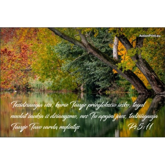 Magnetukas Biblijos eilutė - Psalmė 5:11