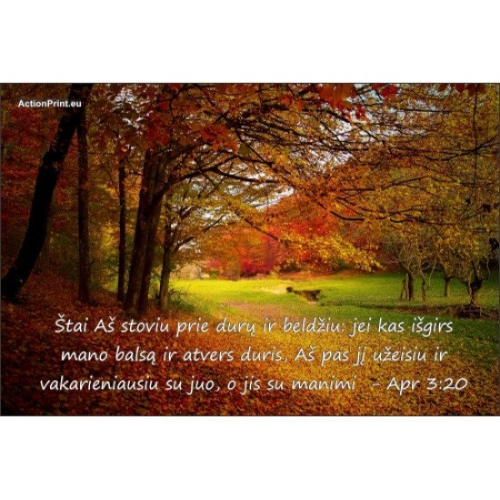 Magnetukas Biblijos eilutė - Apreiškimo kn. 10:4