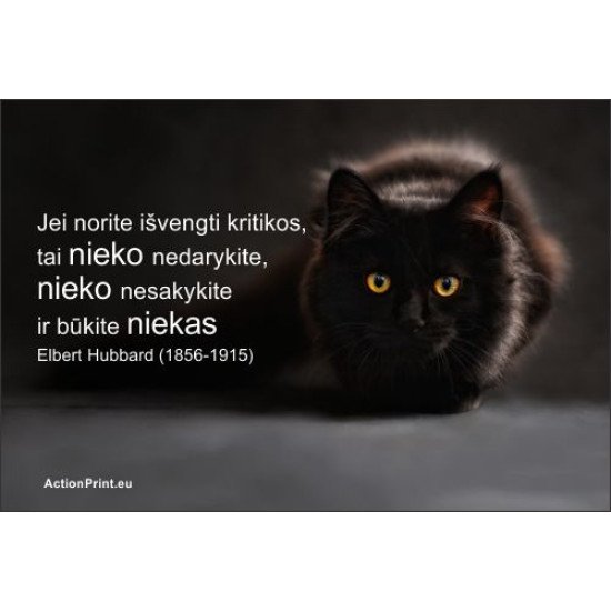 Magnetukas Elbert Hubbard