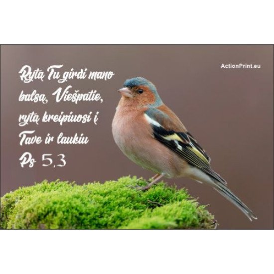 Magnetukas Biblijos eilutė - Psalmė 5,3