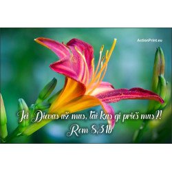 Magnetukas Biblijos eilutė - Romiečiams 8:31b