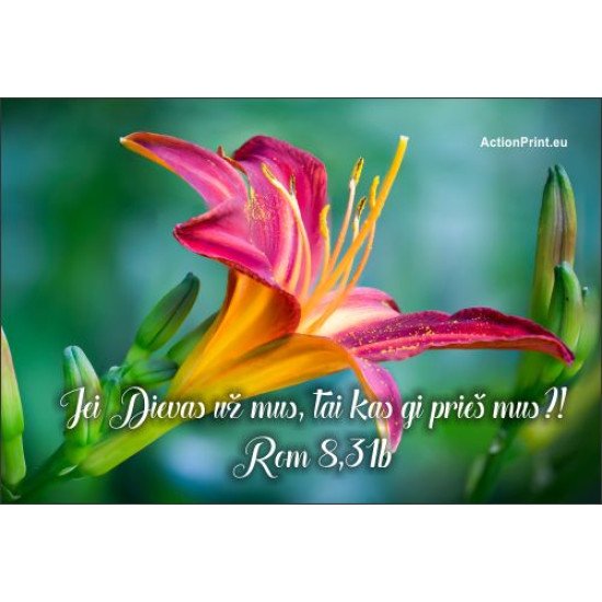 Magnetukas Biblijos eilutė - Romiečiams 8:31b