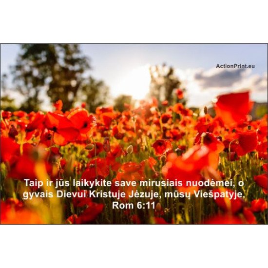 Magnetukas Biblijos eilutė - Romiečiams 6:11