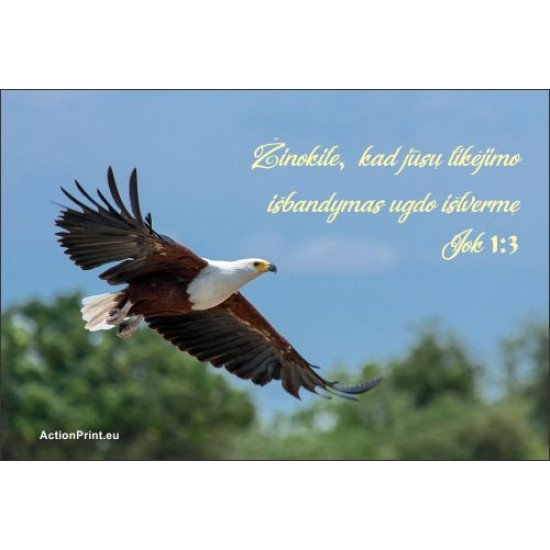 Magnetukas Biblijos eilutė - Jokūbo 1:3