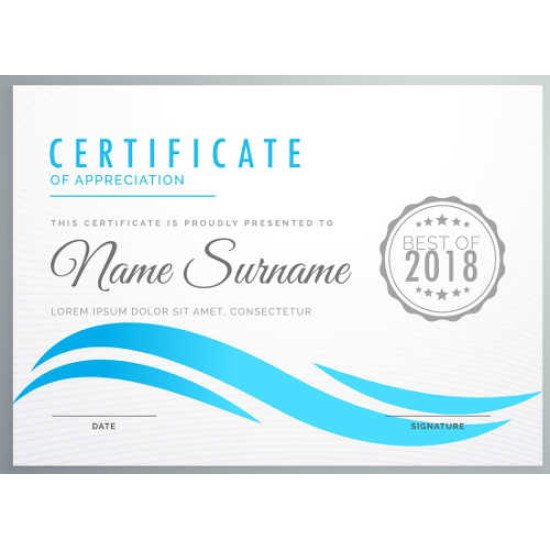 Sertifikatas-diplomas, 20 vnt, Nr. 000013