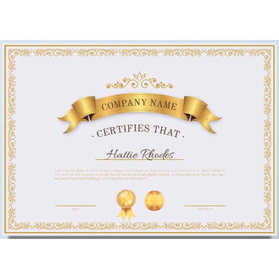 Sertifikatas-diplomas, 20 vnt, Nr. 000044