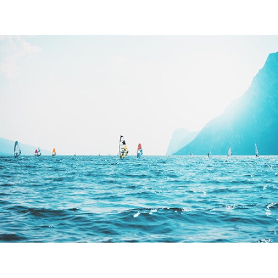 Fototapetai Daug bangletininkų buriuoja vandenyje