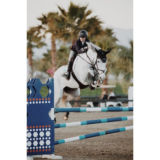 Fototapetai Žirgas šokantis per kliūtį