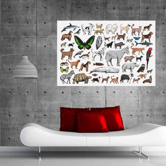 Plakatas mokomasis Gyvūnai 0004