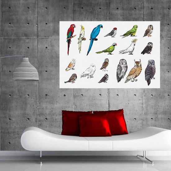 Plakatas mokomasis Paukščiai 0001