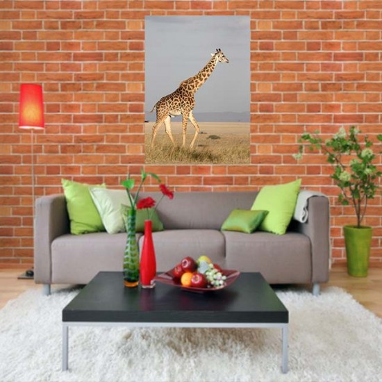 Plakatas Žirafa
