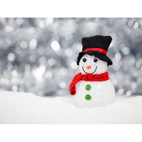 Plakatas Besmegenis žiemoje