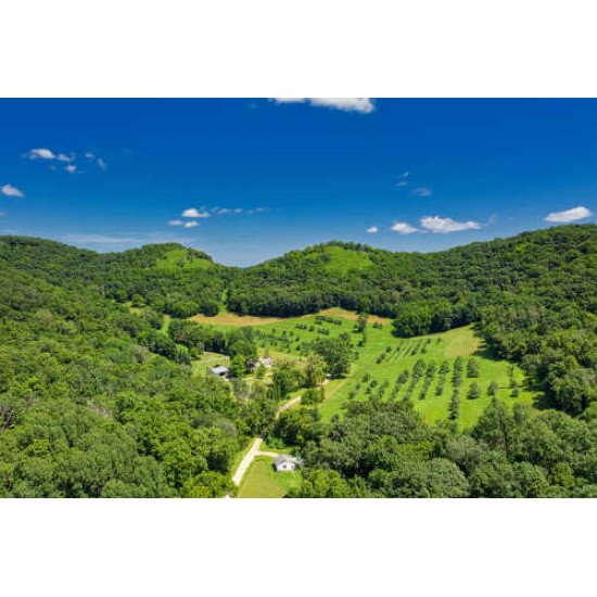 Fototapetai Kaimelis Indijos miškuose