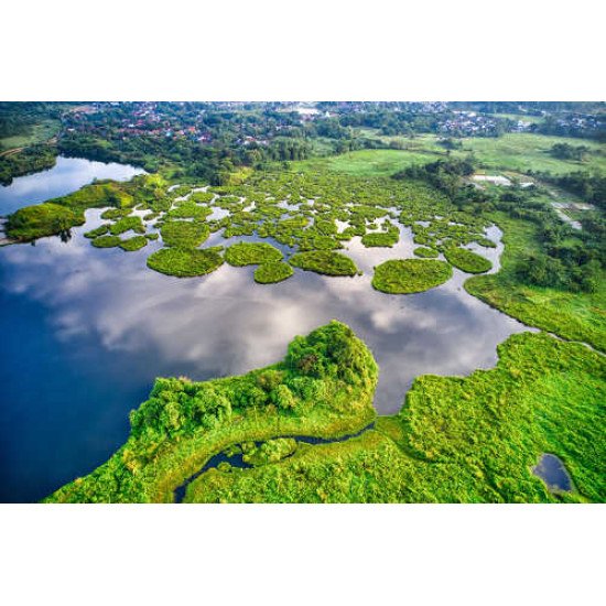 Fototapetas Žalioji ežero pakrantė