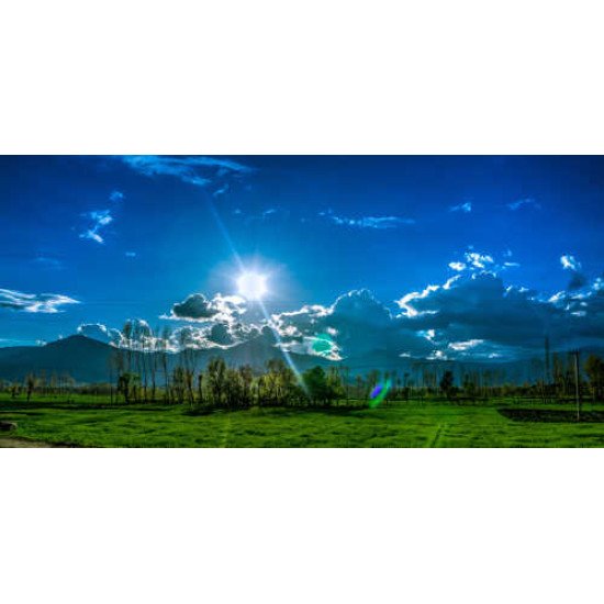 Fototapetas Žaliuojanti pieva saulės glėbyje