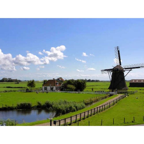 Fototapetas Vėjo malūnas sodyboje