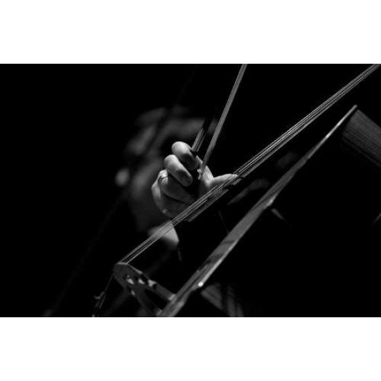 Fototapetai Muzika - 056