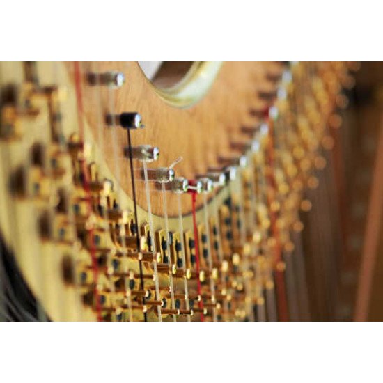 Fototapetai Muzika - 110