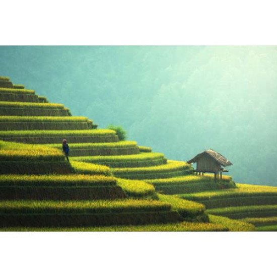 Fototapetas Žemdirbystė 400x270 cm