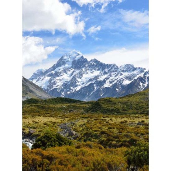 Fototapetas Aoraki Kalnas Cook nacionaliniame parke Naujoje Zelandijoje 200x270 cm