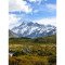 Fototapetas Aoraki Kalnas Cook nacionaliniame parke Naujoje Zelandijoje 200x270 cm