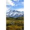 Fototapetas Aoraki Kalnas Cook nacionaliniame parke Naujoje Zelandijoje 160x270 cm