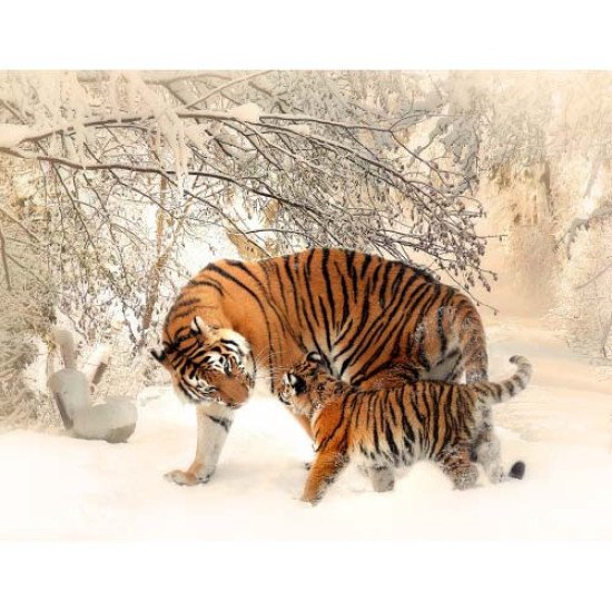 Fototapetas Tigrai 350x270 cm