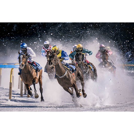 Fototapetas Žirgų sportas 400x270 cm