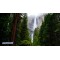 Fototapetas Josemičio nacionalinis parkas, Josemičio krioklys 480x270 cm