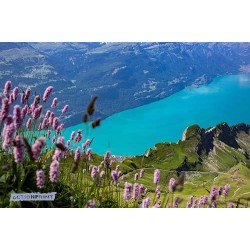 Fototapetas Ežeras kalnuose, 400x270 cm