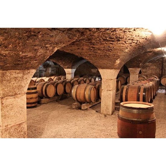 Fototapetas Vyno statinių rūsys