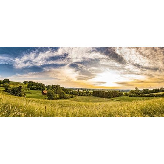 Fototapetas Žolės laukai