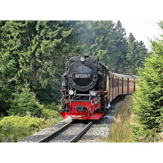 Fototapetas Senovinis traukinys važioujantis eglių miške