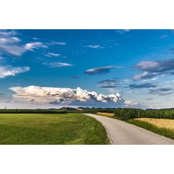 Fototapetas Žemės ūkio laukai