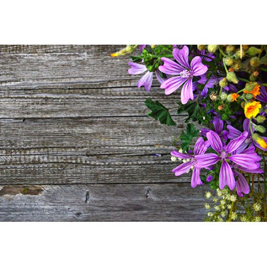 Fototapetas  Violetinių gėlių puokštė