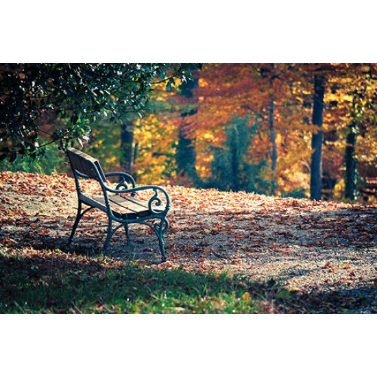 Fototapetas Tuščias suoliukas rudens metu