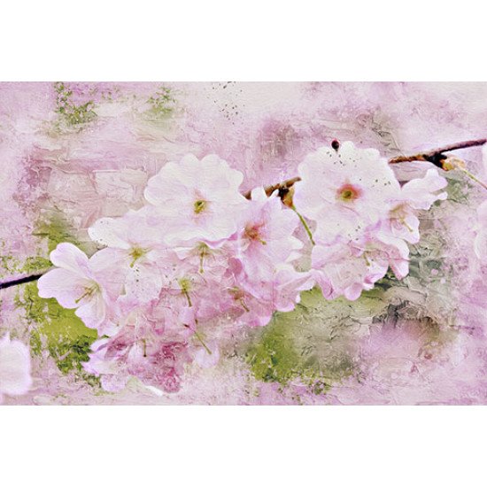 Fototapetas Vyšnių medžių žiedai