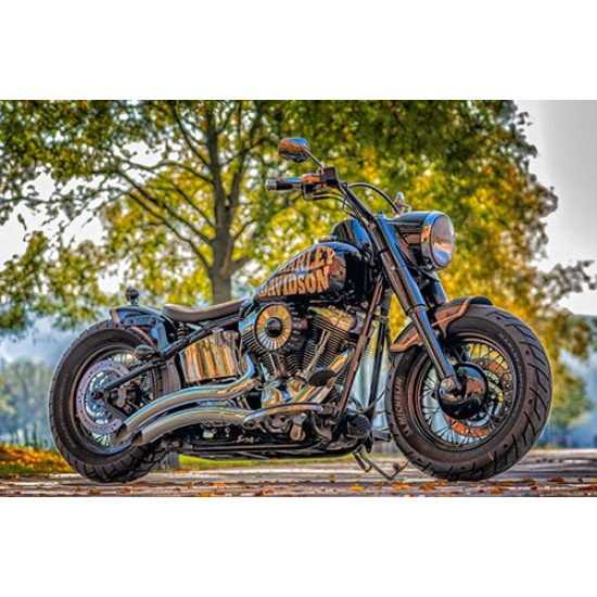 Fototapetas Harley Davidson motociklas