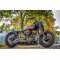 Fototapetas Harley Davidson motociklas