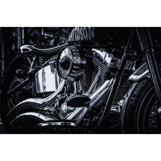 Fototapetas Harley Davidson motociklo variklis
