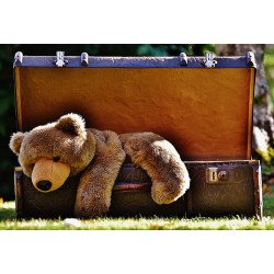 Fototapetai Meškiukas skrynioje