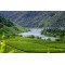 Fototapetai Vyna auginantis regionas