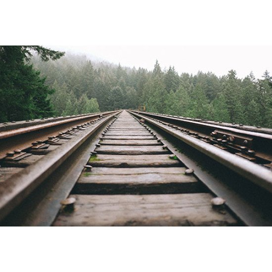 Fototapetai Traukinio bėgiai vedantys į mišką