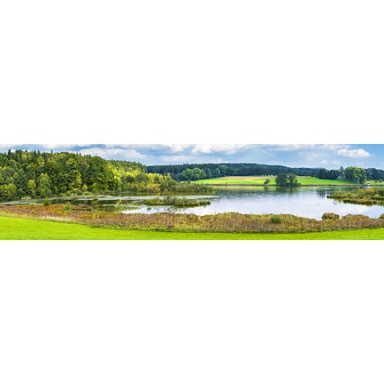 Fototapetai Miško rezervo peizažas