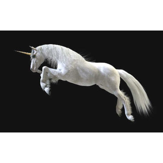 Fototapetai Žirgai - 005