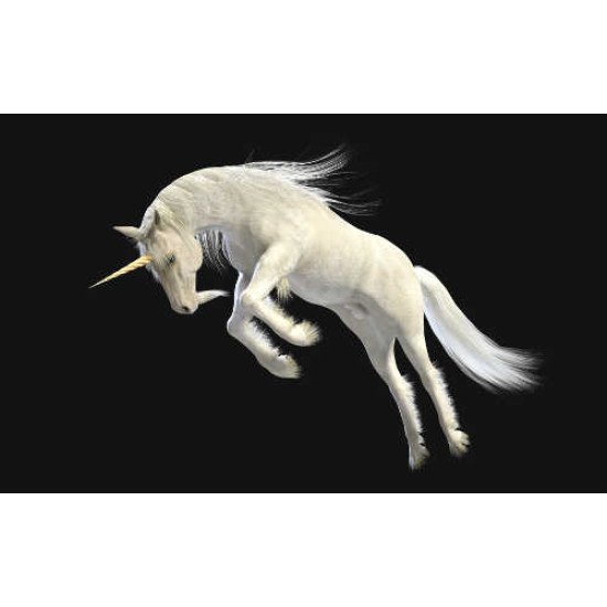 Fototapetai Žirgai - 007